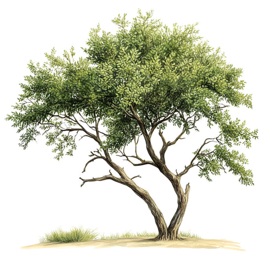 Watercolor Texas Fabric Panel 19