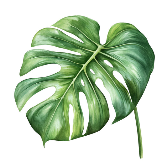 monstera leaf, tropical leaf, green leaf, forest green, sage green, light green, botanical, nature, tropical plants, houseplant, botanical illustration, leaves, foliage, modern botanical, contemporary, tropical theme, spring, summer, home decor, wall art, minimalist, elegant, naturalistic, plant lover, indoor plants, leaf motif