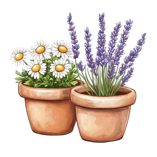 potted flowers, daisies, lavender, terracotta pots, white flowers, purple flowers, yellow centers, floral design, garden theme, botanical, nature, spring, summer, cottage garden, farmhouse style, rustic, whimsical, garden decor, potted plants, herbal flowers, provence style, french country, layered florals, charming, pastoral, decorative panel, home decor, cream white, lavender purple, golden yellow
