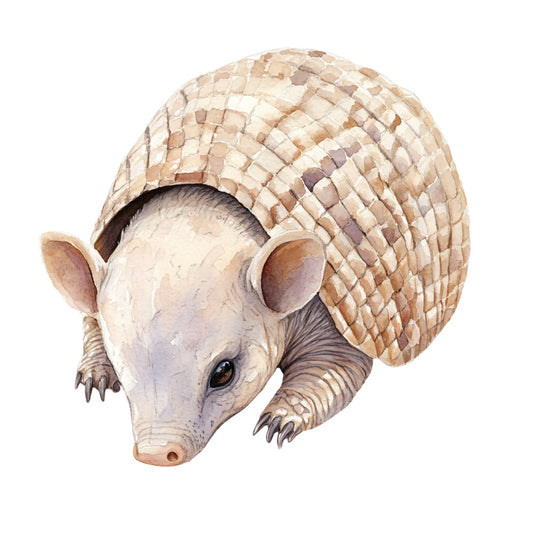 armadillo, animal, wildlife, nature, beige, tan, cream, brown, taupe, natural tones, earthy colors, realistic illustration, detailed artwork, whimsical, children's, baby, nursery, safari, zoo animals, educational, cute animals, woodland, decorative, wall art, bedding, baby quilt, children's clothing, neutral palette, hand-painted style