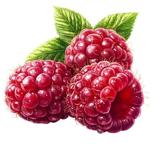 Raspberry Gardens Fabric Panel 32