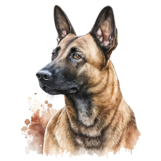 Belgian Malinois Dog Fabric Panel 9