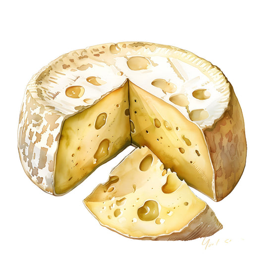 cheese, food, dairy, realistic, food illustration, cream cheese, swiss cheese, holes, golden yellow, pale cream, white, tan brown, culinary, kitchen, farmhouse, rustic, gourmet, food art, detailed, textured, whimsical, playful, appetizer, food design, cottage core, country style, artisanal, food theme, humorous, novelty print
