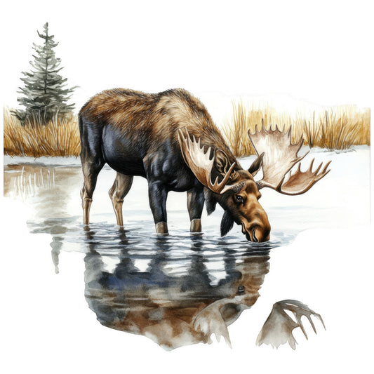 moose, wildlife scene, water reflection, brown, black, golden grass, evergreen trees, winter landscape, nature panel, fabric panel, realistic art, drinking moose, antlers, pond scene, wilderness, outdoor scene, detailed illustration, earth tones, scenic panel, animal portrait