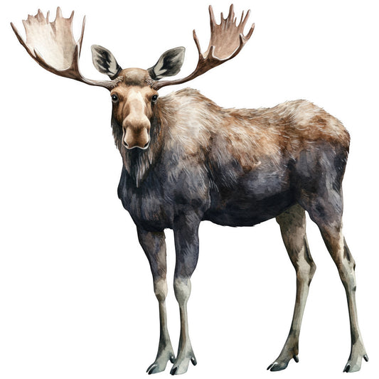 moose, wildlife, brown, tan, beige, gray, antlers, watercolor style, realistic art, animal portrait, nature scene, fabric panel, quilting cotton, outdoors theme, rustic, natural colors, woodland creature, majestic animal, hunting theme, cabin decor
