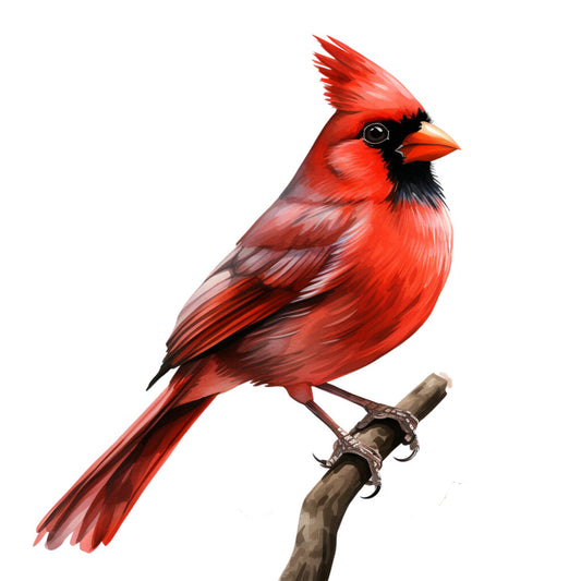 red cardinal, bright red, black markings, orange beak, bird illustration, wildlife art, nature design, fabric panel, quilting cotton, perched bird, branch design, realistic bird, vibrant colors, songbird motif, outdoor theme, natural subject, feathered details, woodland creature, bird watching, avian art