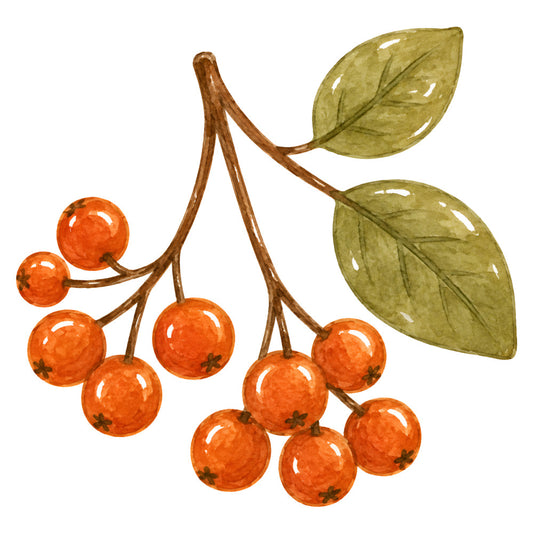rowan berries, orange berries, olive green leaves, autumn, fall, nature, botanical, berry branches, rustic, traditional, harvest, warm orange, muted green, sage green, natural, woodland, botanical print, berry motif, branch pattern, seasonal, cottage core, farmhouse, earthy tones, berry picking, country style, vintage botanical, decorative branches