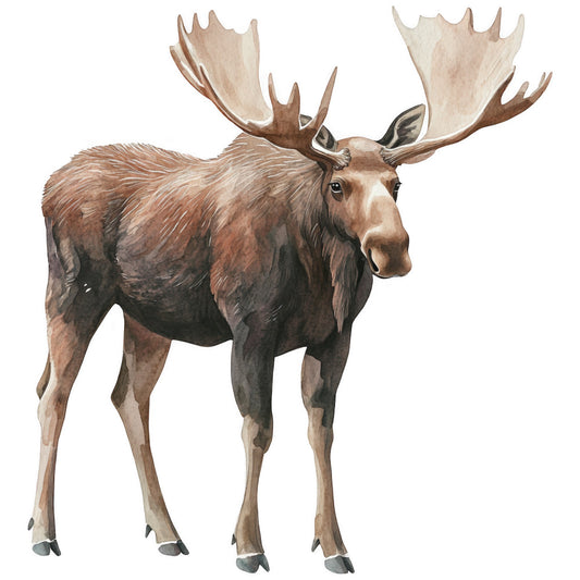 moose, wildlife, brown, tan, beige, antlers, watercolor style, nature scene, fabric panel, quilting cotton, forest animal, rustic, outdoor theme, earth tones, realistic illustration, wilderness, hunting theme, cabin decor, natural colors, animal portrait