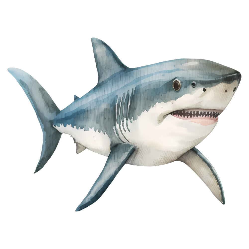 great white shark, shark, ocean, sea life, marine life, underwater, aquatic animals, fish, slate blue, steel blue, gray blue, white, cream, realistic illustration, wildlife illustration, ocean theme, nautical, coastal, animal motif, teeth, predator, summer, beach theme, adventure, nature illustration, educational, boys, kids, children