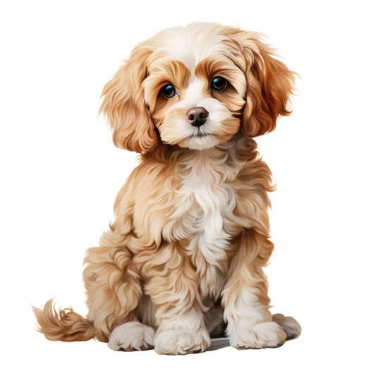 Cute Cavapoos Fabric Panel 65