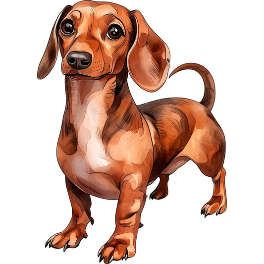 dachshund, dog, brown, tan, rust, copper, cream, white, animal portrait, whimsical, cute, playful, cartoon, illustration, pet, puppy, children's, kids, funny, charming, character design, friendly, detailed, artistic, domestic animals, companion animals, nursery, decorative panel, home decor