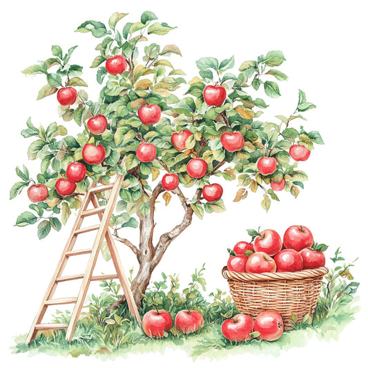 red apples, apple tree, wooden ladder, wicker basket, watercolor style, botanical illustration, harvest scene, green leaves, orchard setting, fabric panel, quilting cotton, pastoral scene, fruit picking, countryside theme, nature motif, autumn harvest, farming illustration, rural landscape, apple orchard, seasonal fruits