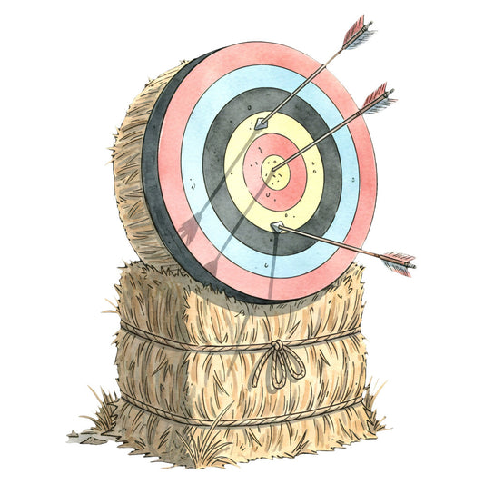 archery target, bullseye, straw, hay, rustic, farmhouse, vintage, whimsical, arrows, red feathers, cream, light blue, dusty rose, charcoal gray, tan, natural fibers, folk art, traditional, quirky, novelty, conversation print, decorative arrows, circular pattern, concentric circles, straw bale, cottage core, boho, eclectic, playful