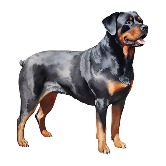 Watercolor Rottweiler Fabric Panel 5 showing detailed artistic illustration of a Rottweiler dog in premium quilting cotton print.