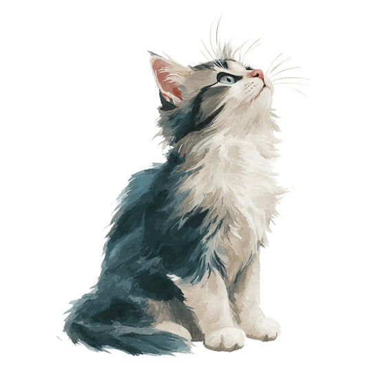 cat, kitten, fluffy cat, tabby cat, long-haired cat, blue and white, cream and teal, teal, cream, white, charcoal gray, soft gray, watercolor, painted, whimsical, cute animals, pet portrait, animal illustration, contemporary, modern illustration, looking up, curious cat, playful, children's, cat lover, pet themed, animal motifs, gentle, soft colors, artistic