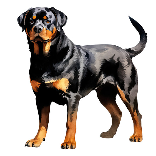 Watercolor Rottweiler Fabric Panel 22 featuring a detailed, vibrant Rottweiler illustration on premium quilting cotton.