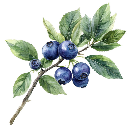 Blueberry Gardens Fabric Panel 24