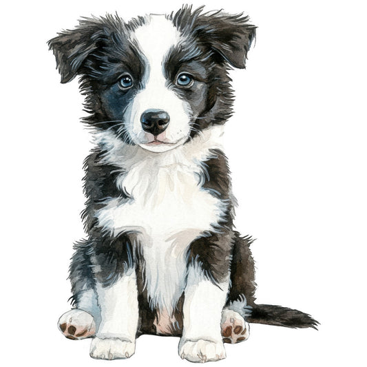 watercolor, border collie, puppy, dog, black and white, blue eyes, fluffy fur, sitting pose, pet portrait, fabric panel, quilting cotton, realistic art, animal lover, soft brushstrokes, white chest, tri-color markings, adorable expression, herding breed, canine art, craft fabric