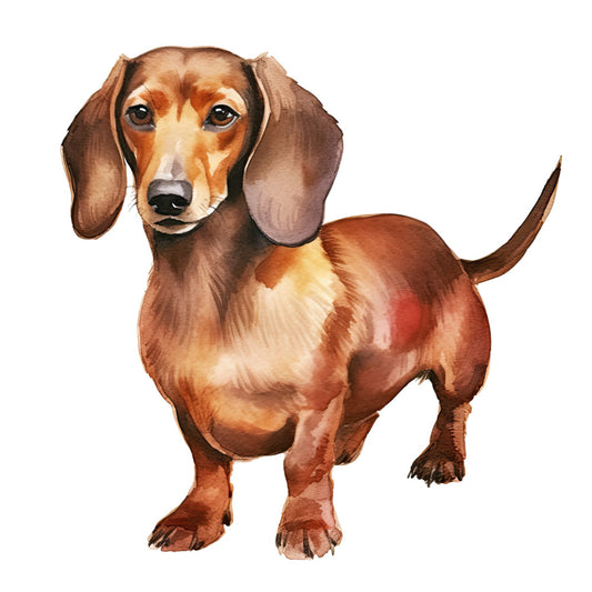 Watercolor Dogs Fabric Panel 3 features a detailed watercolor painting of a brown dachshund on premium quilting cotton fabric.