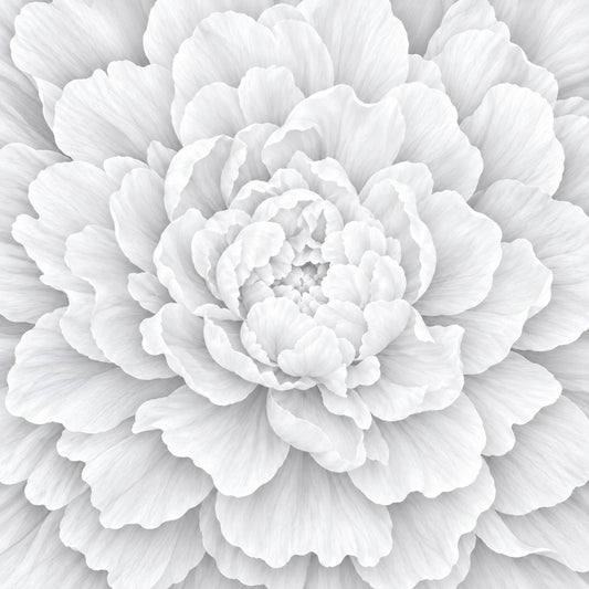 white peony, cream floral, grayscale flower, monochromatic botanical, textured petals, elegant flower, romantic floral, classic peony, soft white, light gray, nature inspired, botanical print, delicate florals, traditional design, timeless pattern, wedding theme, sophisticated style, dimensional petals, layered flowers, spring flowers, garden flowers, large scale floral, close-up bloom, minimalist floral, contemporary botanical, vintage elegance, neutral tones, bridal fabric, home decor, decorative arts
