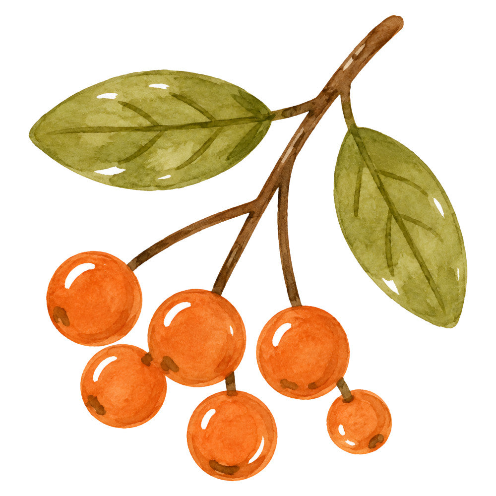 orange berries, olive green leaves, autumn, fall, botanical, nature, floral, berry branch, rustic, traditional, warm colors, burnt orange, sage green, harvest theme, natural motifs, botanical print, countryside, farmhouse style, seasonal decor, fruit motifs, branch pattern, earthy tones, vintage inspired, home decor, table runner, wall hanging, nature lover, garden theme