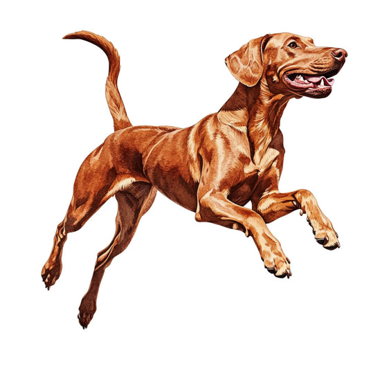 hunting dog, brown, rust, tan, cream, chocolate brown, copper, animal portrait, dog breed, sporting dog, pointer, realistic illustration, traditional, nature, wildlife, dog lover, pet theme, jumping dog, active pose, energetic, masculine, outdoor theme, farmhouse, rustic, country style, canine, gun dog, hunting scene, detailed artwork