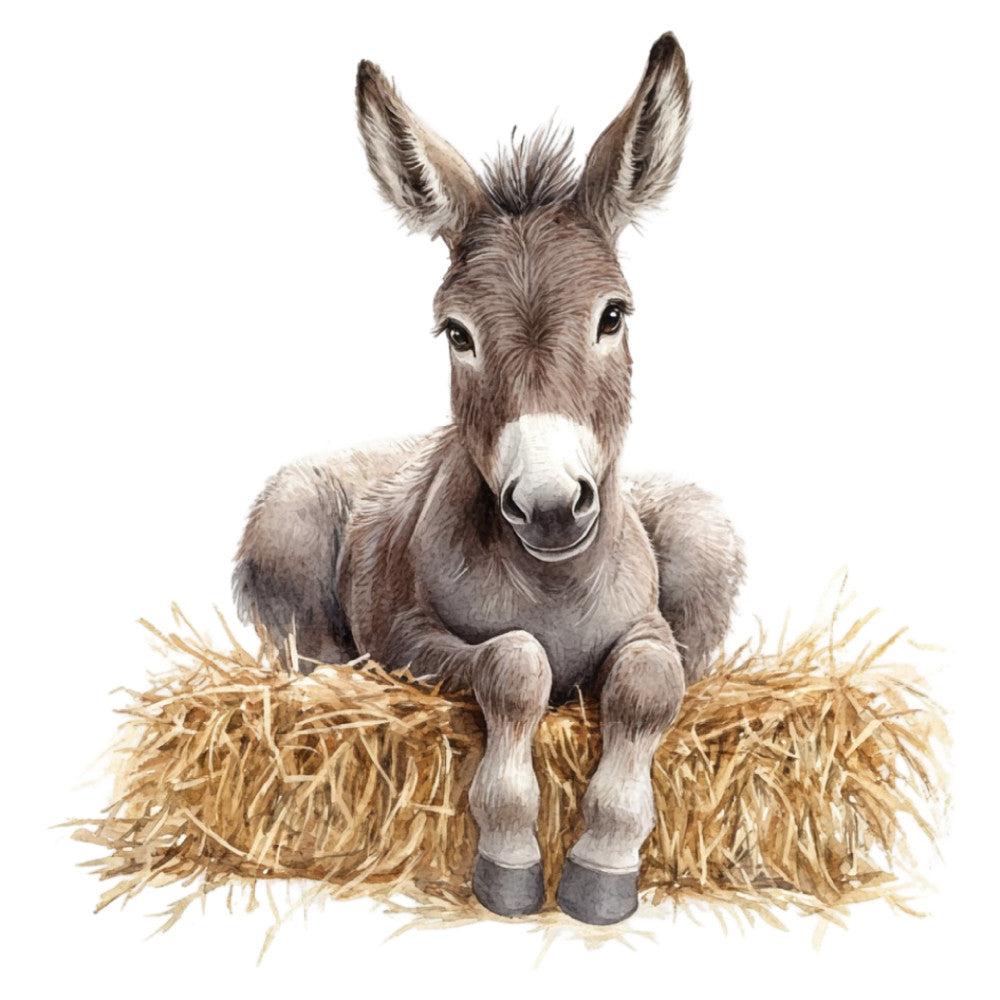 donkey, farm animals, farmhouse, rustic, straw, hay, gentle, cute, children's, baby, neutral tones, taupe, beige, cream, white, tan, brown, woodland, country, pastoral, adorable, sweet, whimsical, animals, nature, farm life, kids, nursery, decorative panel, wall art