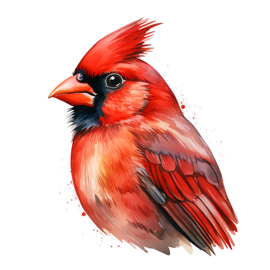 red cardinal, bird illustration, watercolor style, crimson red, orange beak, black markings, fabric panel, quilting cotton, nature theme, wildlife design, songbird, feathered crest, artistic rendering, winter bird, backyard bird, vibrant red, painterly effect, bird lover, crafting fabric, sewing panel