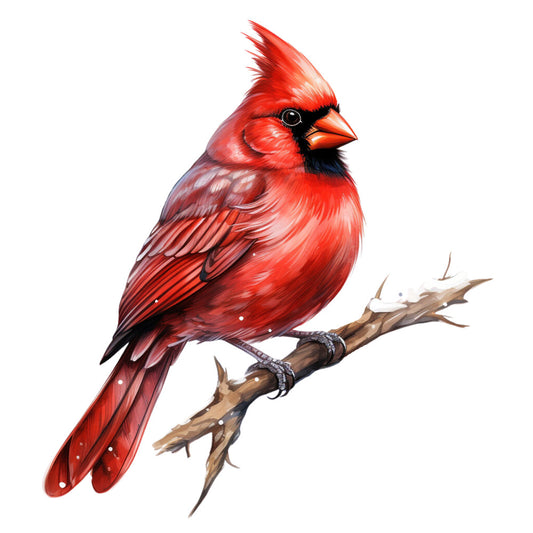 red cardinal, bird illustration, bright red, orange beak, black mask, crest feathers, branch perch, winter bird, nature art, wildlife design, fabric panel, quilting cotton, realistic style, songbird, feathered details, brown branch, white background, cardinal art, bird lover, crafting fabric