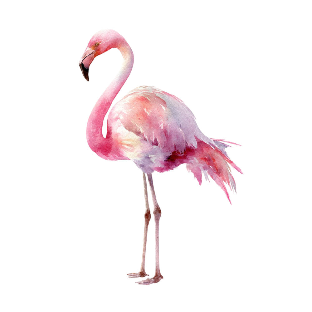 pink flamingo, hot pink, coral pink, blush pink, watercolor, bird, tropical, nature, animals, elegant, whimsical, modern, botanical, artistic, watercolor painting, flamingo motif, long-legged bird, wildlife, soft pastels, cream white, mauve, dusty rose, illustration style, contemporary, decorative, nature-inspired, spring, summer, home decor, wall art