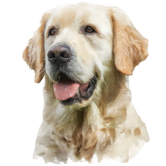 dog, labrador, golden retriever, cream, tan, beige, light brown, fawn, animal portrait, realistic, dog face, pet, friendly, happy expression, tongue out, smiling dog, nature, farmhouse, traditional, elegant, canine, dogs, man's best friend, pet lover, dog breed, sporting dog, retriever, warm tones, neutral colors, animal lover