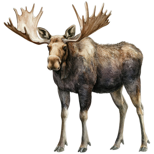moose, wildlife, brown, tan, beige, cream, antlers, realistic illustration, nature scene, fabric panel, quilting cotton, outdoor theme, forest animal, earth tones, watercolor style, masculine design, hunting lodge, cabin decor, wilderness, natural colors