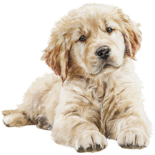 golden retriever, cream, tan, beige, light brown, golden brown, dog portrait, animal, pet, realistic, illustration, dog lover, puppy, sporting dog, gentle, friendly, whimsical, adorable, cute, children, nursery, baby, home decor, wall hanging, nature themed, domestic animal, loyal companion, family pet, warmth