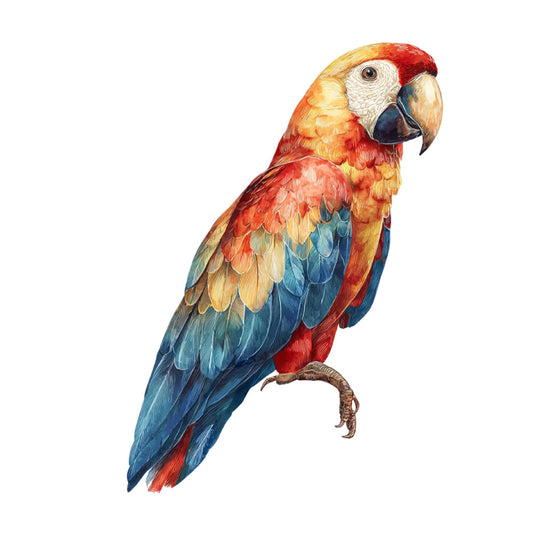 macaw, parrot, tropical bird, red, gold, yellow, blue, navy blue, teal, multicolor, wildlife, nature, animal print, botanical, exotic birds, ornithological, illustration style, detailed, realistic, whimsical, vibrant, colorful, wall hanging, home decor, traditional, elegant, jungle themed, rainforest, feathered friends, bird lovers