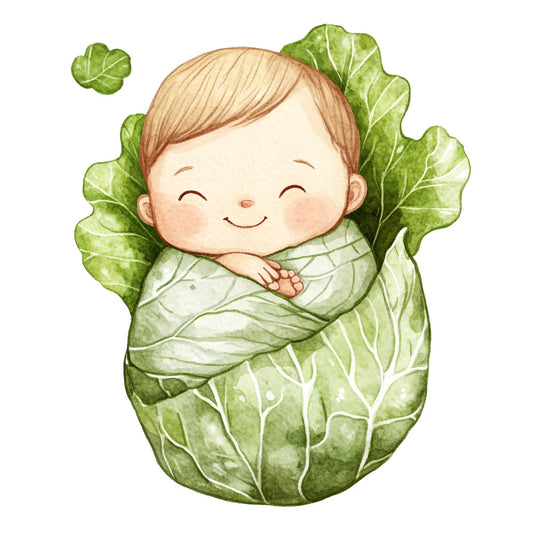 baby illustration, cabbage leaf, sage green, light green, cream, soft green, whimsical, cute, newborn, nature, botanical, garden, organic, illustration style, children's design, nursery, baby shower, spring, gentle, peaceful, sweet, tender, wrapped baby, swaddled infant, playful, storybook, pastoral, soft colors, leaf motif, vegetable garden