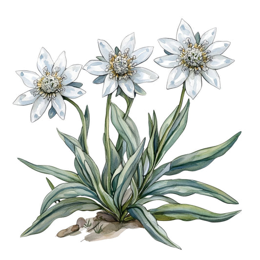 Watercolor Oktoberfest Fabric Panel 15