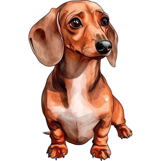 dachshund, dog, wiener dog, brown, tan, cream, rust, copper, animal, pet, whimsical, cute, playful, illustration, portrait, children, kids, baby, nursery, storybook, vintage, charming, friendly, puppy, short-legged, long-bodied, detailed art, character design