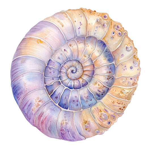 Watercolor Sea Shells Fabric Panel 14 featuring a detailed pastel seashell design on premium quilting cotton.
