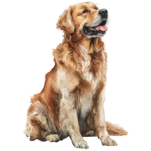 golden retriever, dog portrait, brown and white, cream colored, tan, golden brown, chocolate brown, animal, pet, realistic, hunting dog, sporting dog, loyal companion, man's best friend, canine, sitting dog, noble expression, dignified, traditional, classic, portrait style, home decor, pet lover, dog breed, family friendly, warm tones, natural colors, rustic, timeless, elegant