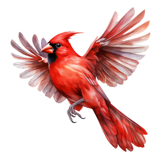 red cardinal, flying bird, spread wings, vibrant red, black markings, orange beak, watercolor style, realistic illustration, fabric panel, quilting cotton, bird artwork, nature theme, wildlife design, detailed feathers, soft pastels, wing span, perched claws, ornithology, songbird, bright crimson