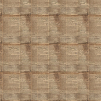 Sepia Press Pattern 2 Minky Fabric