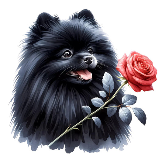 black pomeranian, fluffy dog, cute puppy, coral red rose, romantic floral, animal portrait, pet lover, whimsical style, elegant design, nature theme, dog breed, spitz type, black and white contrast, ruby red flower, garden rose, sweet expression, playful dog, decorative panel, children's theme, nursery decor, pet themed, charming illustration, digital print, floral accent, romantic gift, dog lover gift, vintage style, pet memorial, adorable animals, decorative art