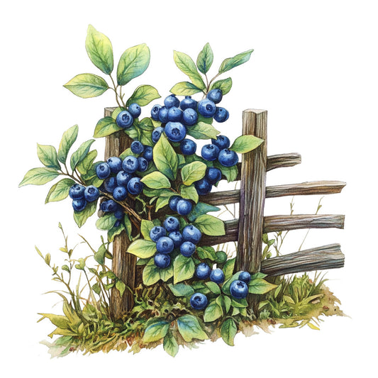 Blueberry Gardens Fabric Panel 12