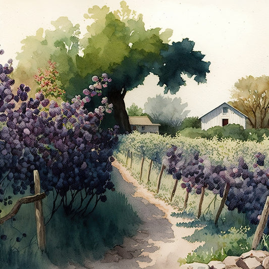 vineyard, wine country, grapevines, purple grapes, dark grapes, farmhouse, rural landscape, cottage, barn, countryside, nature scene, pastoral, watercolor, botanical, forest green, deep teal, dusty purple, sage green, cream, vintage, rustic, traditional, scenic, landscape panel, farm scene, trees, architectural, harvest, wine region, peaceful