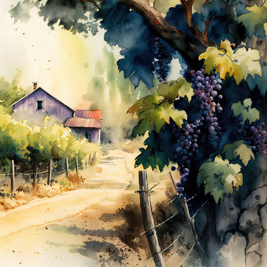 vineyard, grapevines, purple grapes, wine country, harvest, rustic cottage, farmhouse, watercolor, nature scene, countryside, pastoral, landscape, yellow ochre, deep purple, forest green, teal blue, cream, earth tones, vintage inspired, traditional, peaceful, scenic, architectural, rural setting, grape leaves, wooden fence, cottage core, autumn harvest, wine region, european countryside