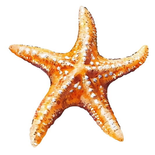 Watercolor Sea Shells Fabric Panel 2 featuring a detailed orange and white starfish design printed on premium quilting cotton.