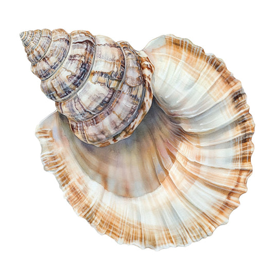 Watercolor Sea Shells Fabric Panel 18 showing detailed watercolor painting of a realistic seashell on premium quilting cotton fabric.