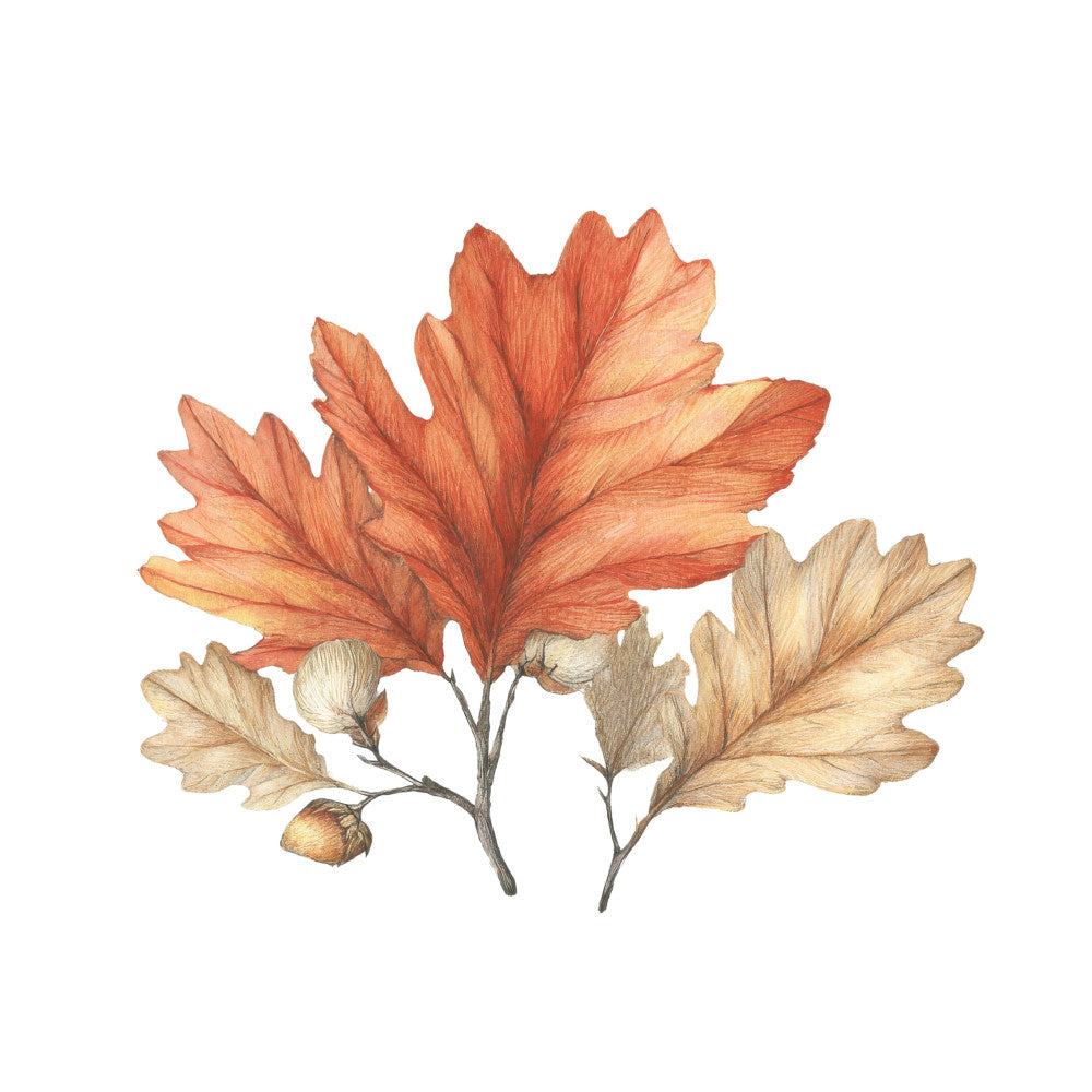 Cozy Autumn Cats Fabric Panel 54