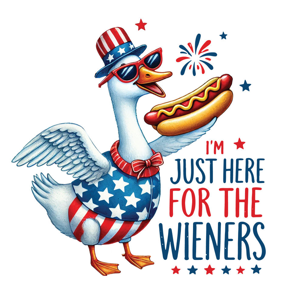 Funny 4th of July Fabric Panel 3