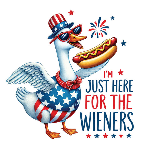 Funny 4th of July Fabric Panel 3